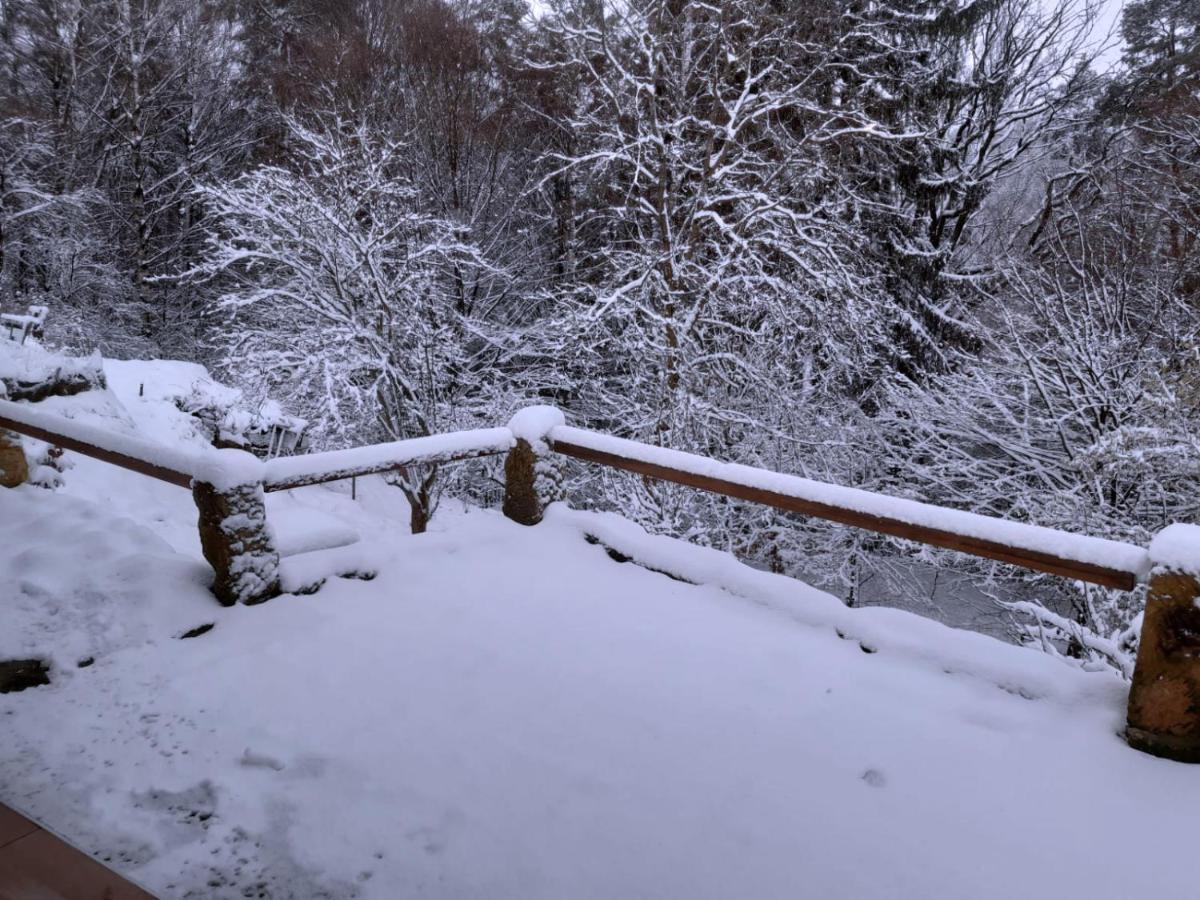 赫任斯科Wellness Chaloupka Mezna - Narodni Park Ceske Svycarsko别墅 外观 照片